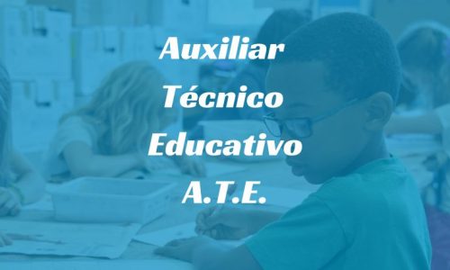 miniatura del curso
